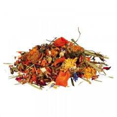   Trixie Szárított növényi keverék szakállas agámáknak - 100 g