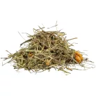 Trixie | Grasses and Meadow Herbs for Tortoises | Kiegészítő eleség (pázsit- és rétifű) teknősbékák részére - 200g