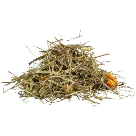 Trixie | Grasses and Meadow Herbs for Tortoises | Kiegészítő eleség (pázsit- és rétifű) teknősbékák részére - 200g