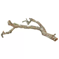   Trixie Tronchos Mixed Cork-Branches | Parafa mászóág - 75 cm