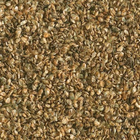 Tetra | Goldfish Menü - 100 ml