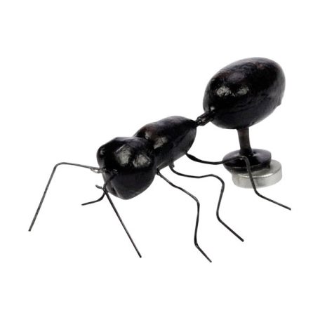 BlueBug | 3D mágnes dobozban | Hangya