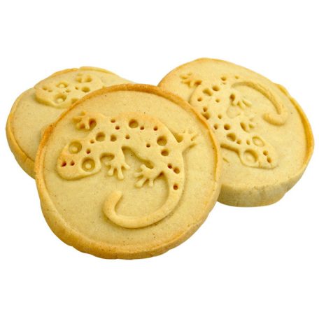 BlueBug | Keksznyomó gekkó mintával - fa-szilikon