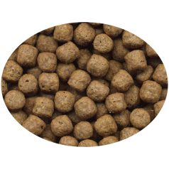   Haquoss | Koilife Pellets | Teljes értékű lebegő haltáp koi pontyok és tavi díszhalak számára – 1000 ml 