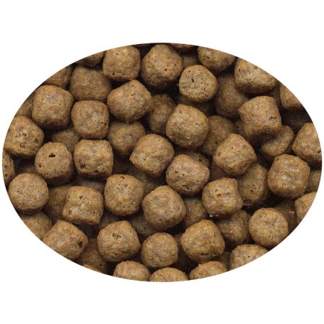 Haquoss | Koilife Pellets | Teljes értékű lebegő haltáp koi pontyok és tavi díszhalak számára – 5 L