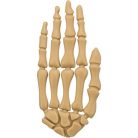 Trixie | Halloween kéz jutalomfalat kutyáknak (csirke íz) | Snack 15 cm - 1 db