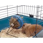 SAVIC | Bunny Toy Hay and Snack Feeder - széna és snack etető nyulak részére (kék színben) - Ø20cm