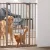 Savic | Dog Barrier Door – 107 cm | biztonsági elválasztó- és térelhatároló kutyáknak – fekete, 74–84 × 107 cm