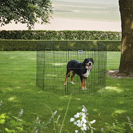 Savic | Dog Park 3 | stabil, variálható kutyakerítés – fekete, 61 × 107 cm