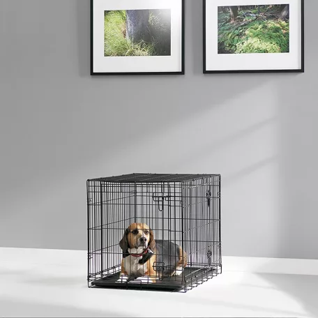Savic | Dog Cottage 91 cm | összecsukható fém szobakennel kutyáknak – fekete, 91 × 57 × 62 cm