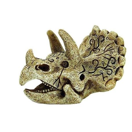 SuperFish | SKULL TRICERATOPS | Triceratopsz koponya dekoráció - S