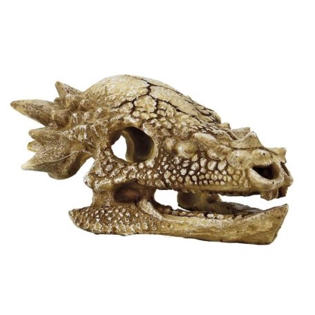 SuperFish | SKULL T REX | T-Rex, koponya M - 15x11x8 cm