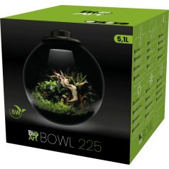 Terrárium kertészkedés