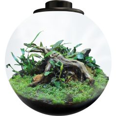   BioArt | BioArt Bowl 225 | Prémium üveggömb LED világítással és időzítővel – 27 cm, fekete