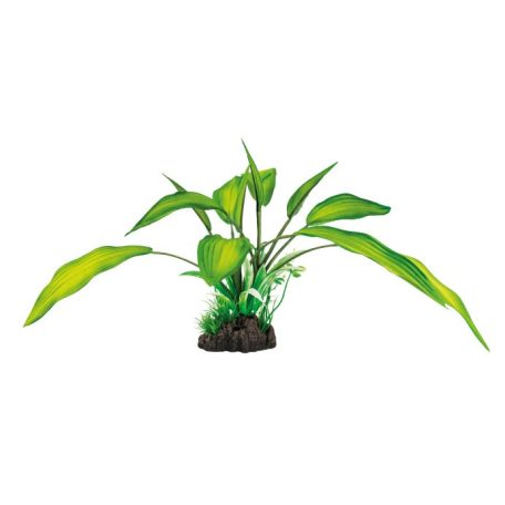 SuperFish | ART PLANT, CRYPTOCORYNE | Műnövény dekoráció - 25 cm