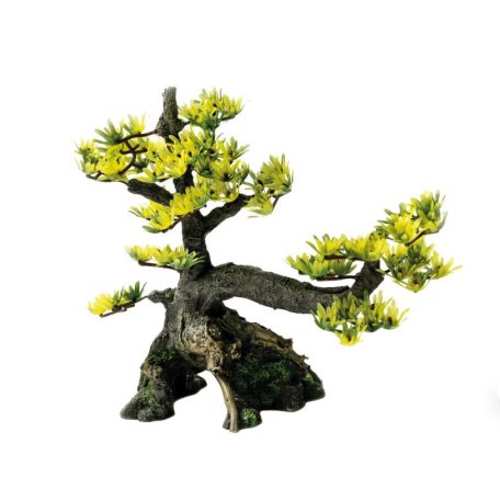 SuperFish | DECO BONSAI | Bonsai dekoráció - M