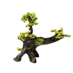 SuperFish | DECO BONSAI | Bonsai dekoráció - L