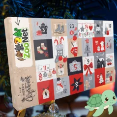 Adventi naptárak hüllőknek