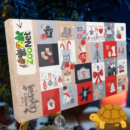 Adventi naptár szárazföldi teknősöknek – Egyedileg összeállított természetes növényi finomságokkal