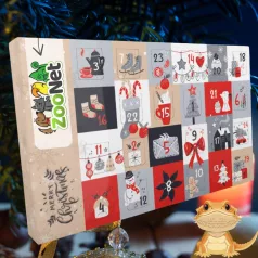   Adventi naptár szakállas agámáknak – Egyedileg összeállított természetes finomságokkal