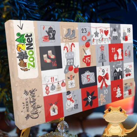 Adventi naptár szakállas agámáknak – Egyedileg összeállított természetes finomságokkal