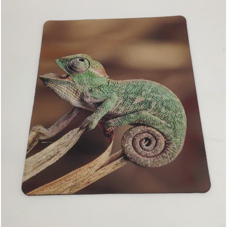 Egérpad | bébi kaméleon mintával – 25x20 cm
