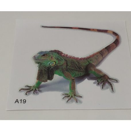 Leguán matrica – valósághű ábrázolás 