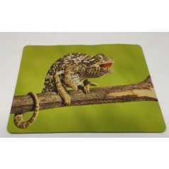   Egérpad | kaméleon mintával – zöld háttér - 21,5x18 cm