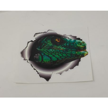 Leguán fej matrica – 3D hatású dizájn