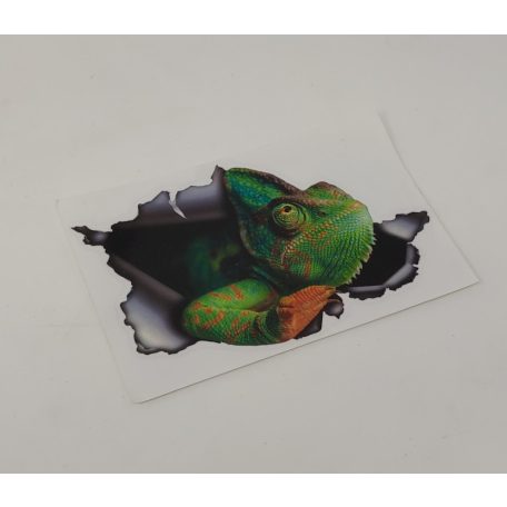 Kaméleonos 3D hatású matrica