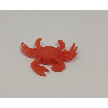 Vízben megnövő állat - remete rák