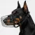 KT26 | Fémkosaras | Jól szellőző, bőrszíjas szájkosár dobermann kutyáknak – Dobi2 méret, 10 cm/7 cm/28 cm
