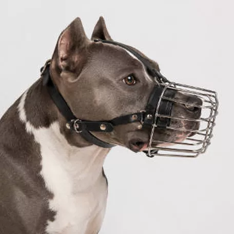 KT26 | Fémkosaras | Jól szellőző, bőrszíjas szájkosár amerikai staffordshire terrier jellegű kutyáknak – Amstaff méret, 8 cm/8 cm/31 cm