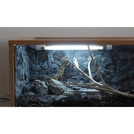 Arcadia | Mini UVB Kit 8W | UVB fénycső szett nappali hüllők számára – 8 W/31 cm