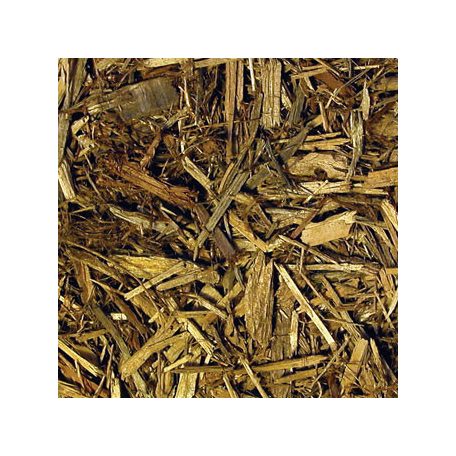 Zoomed Forest Floor Bedding | ciprus kéreg 4,4 L