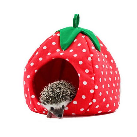 Pet king | eper alakú bújóka - L 34x34x36cm