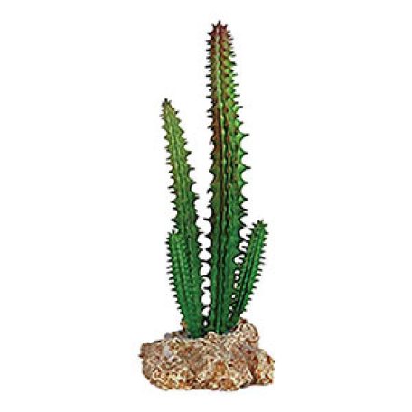 RepStyle Cactus with Rock Base | Kaktuszos szikla dekoráció