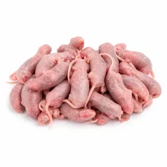 Fagyasztott egér | 2-es méret (Pinky XL) | 1–2 g