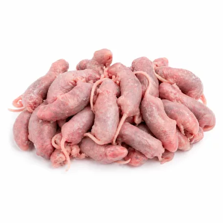 Fagyasztott egér | 2-es méret (Pinky XL) | 1–2 g