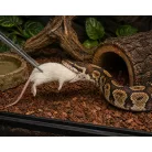 Fagyasztott egér | 6-os méret (Medium / Subadult) | 14–19 g