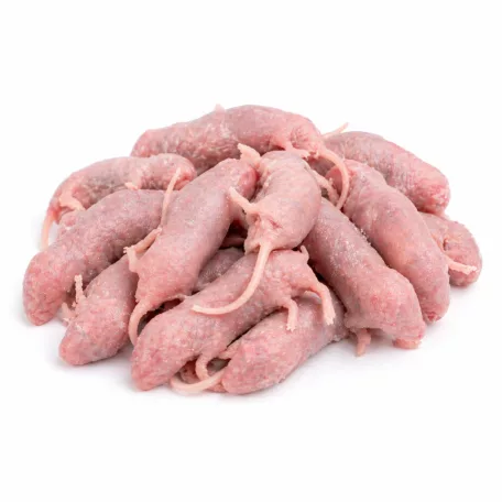 Fagyasztott patkány | 1-es méret (Pinky) | 3–10 g