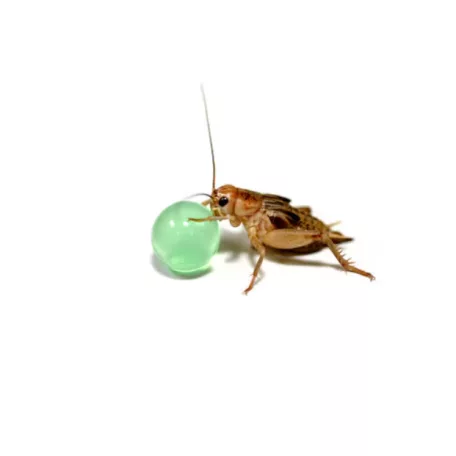 HabiStat | H2O Balls Multicolour | Hidratáló vízgolyók hüllők és rovarok számára - 500 g