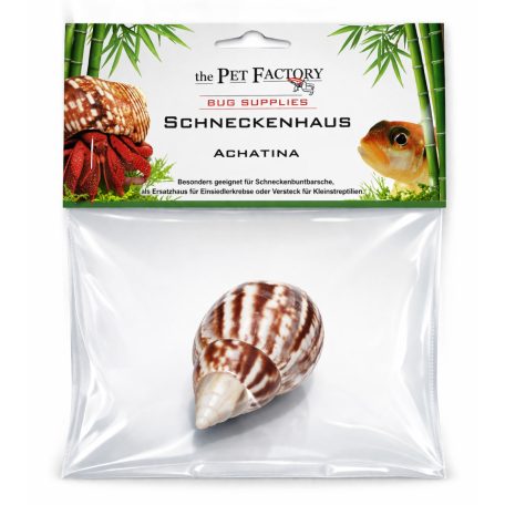 The Pet Factory Csigahéj - Achatina | Természetes váz remeterákok és sügérek számára – 2-3 cm nyílással