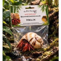   The Pet Factory Csigahéj - Helix | Természetes váz remeterákok és sügérek számára – 2-3 cm nyílással
