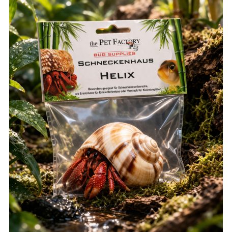The Pet Factory Csigahéj - Helix | Természetes váz remeterákok és sügérek számára – 2-3 cm nyílással