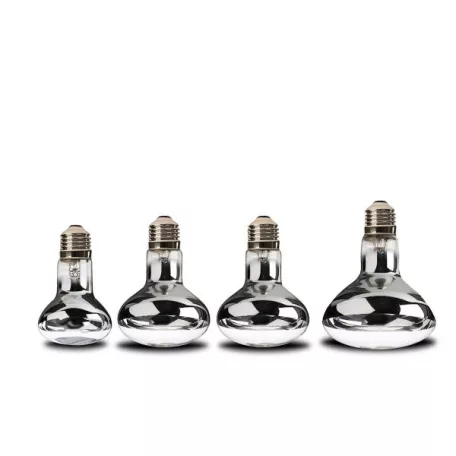 HabiStat | Basking Spotlamp Screw Fitting | Melegítő izzó sivatagi hüllők számára - 100 W