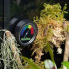 HabiStat | Dial Hygrometer | Analóg páramérő terráriumi hüllők számára