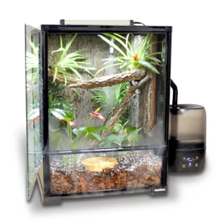 HabiStat | Glass Terrarium | Üveg terrárium kis testű hüllőknek és kétéltűeknek – 30×30×32 cm