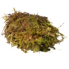   HabiStat  Sphagnum Moss |  Terráriumi természetes moha - 250g