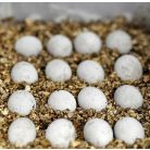 HabiStat | Vermiculite Fine Substrate | Aljzat tojáskeltetéshez és párás élőhelyekhez hüllők és kétéltűek részére – 5 liter